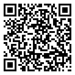 双截龙2游戏手机版下载二维码 