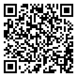 飞龙模拟中文版下载二维码 