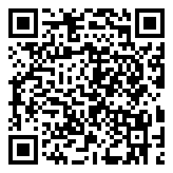 模拟机场3d中文版下载二维码 