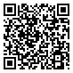 飞机真实模拟器中文版下载二维码 